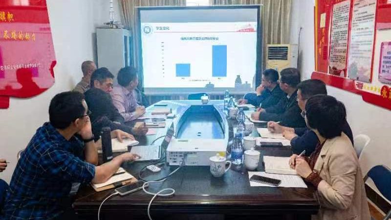 品牌策划方案：解码其优缺点，助力企业精准决策