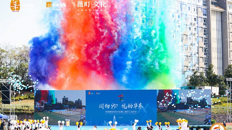 品牌策划与设计：案例解析背后的策略与技巧